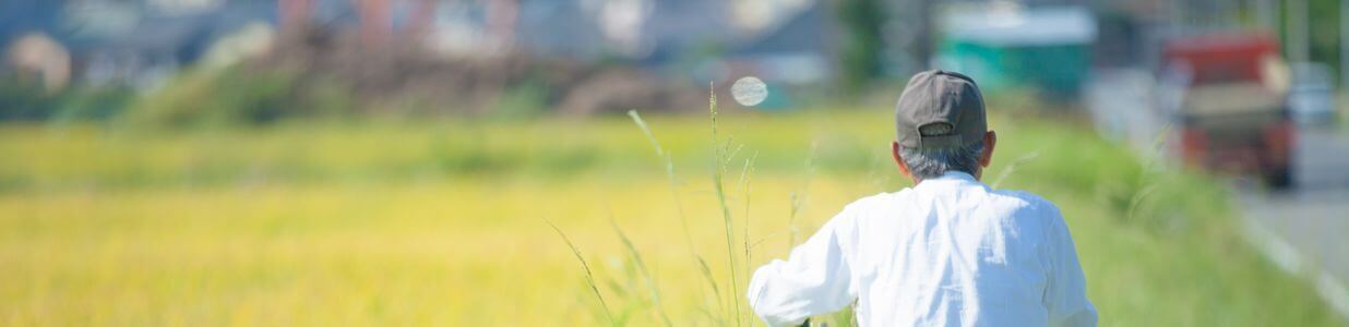 徘徊するが帰ってくるおじいちゃん